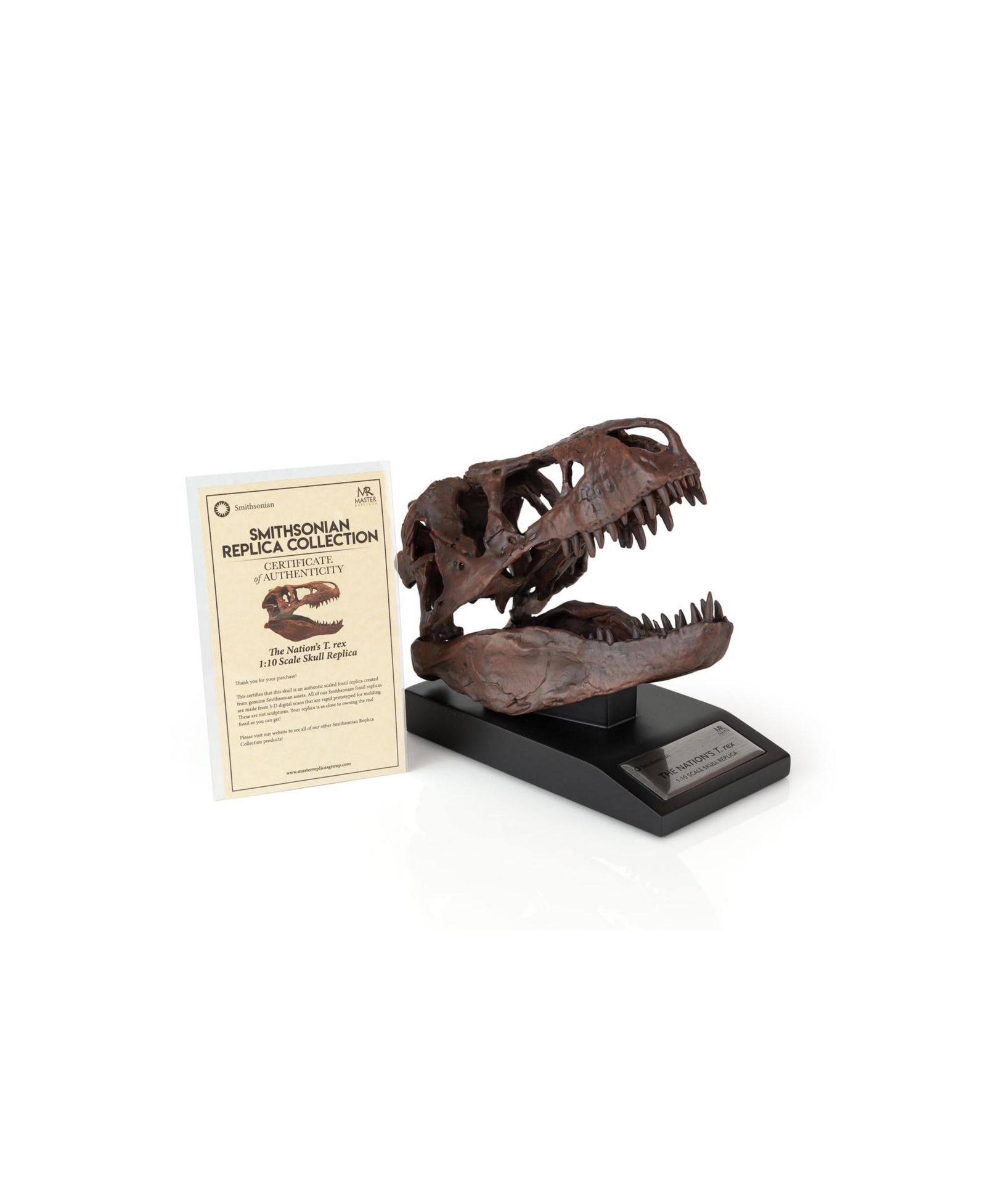 Статуэтка черепа T-Rex, реплика ископаемого Smithsonian, масштаб 1:10, 6-Inch