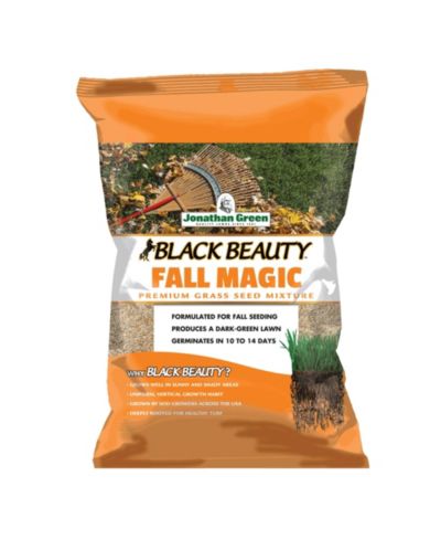 Jonathan Green (#10765) Black Beauty Fall Magic семена травы, пакет 3lb