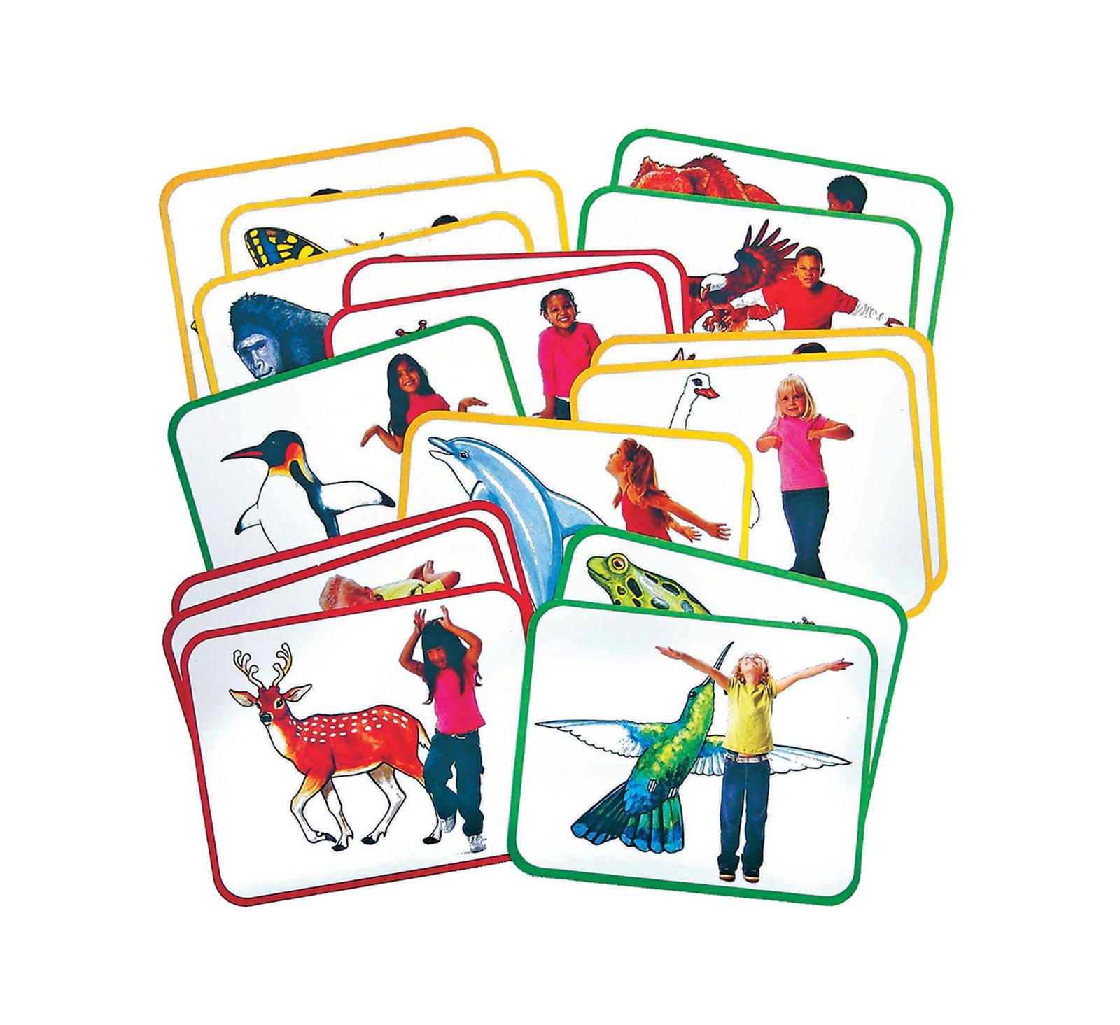 Roylco Body Poetry: Animal Action Cards - набор из 16 шт.