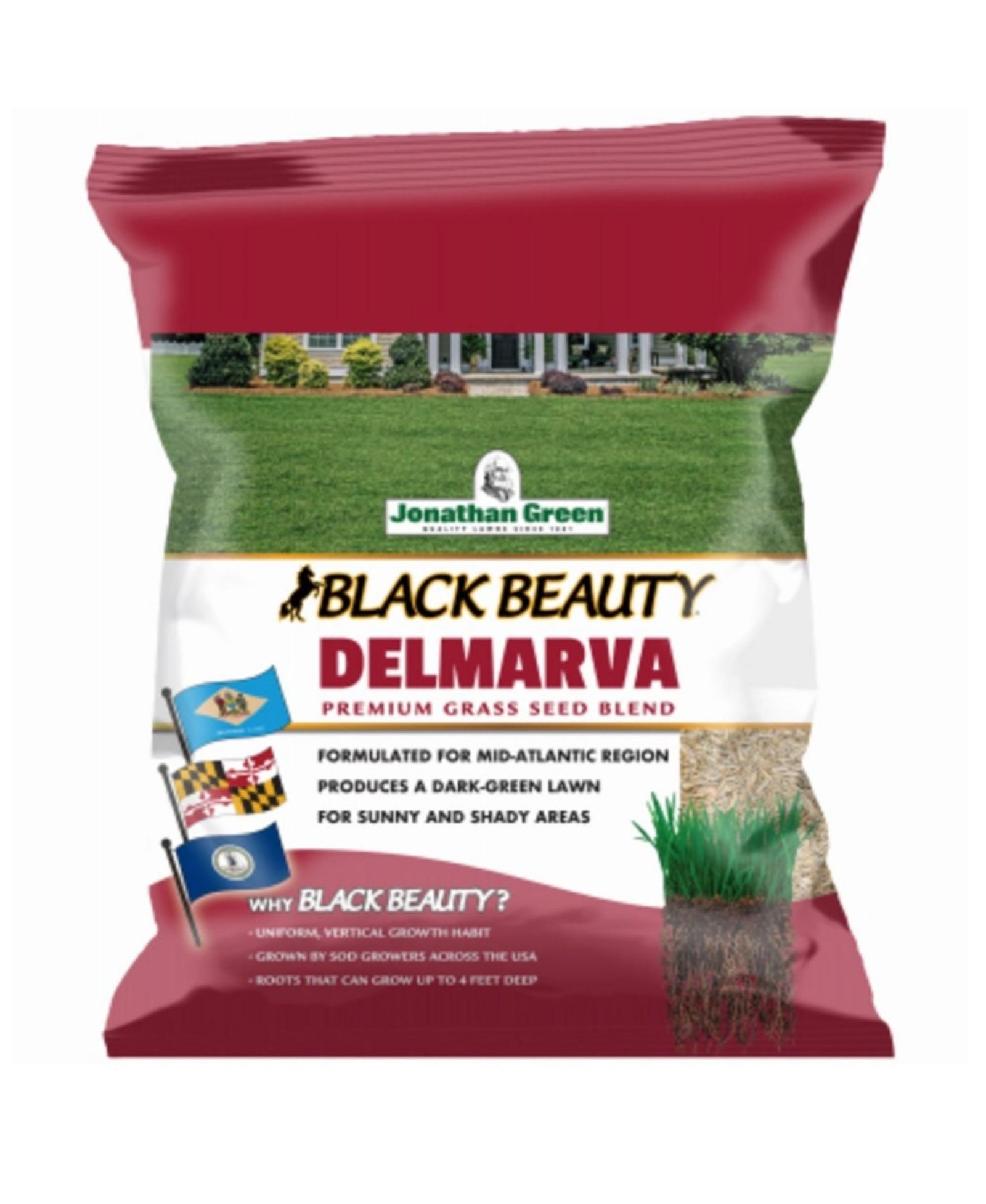 Jonathan Green  10393 Black Beauty Delmarva Mix Grass Seed, 50 Lb
