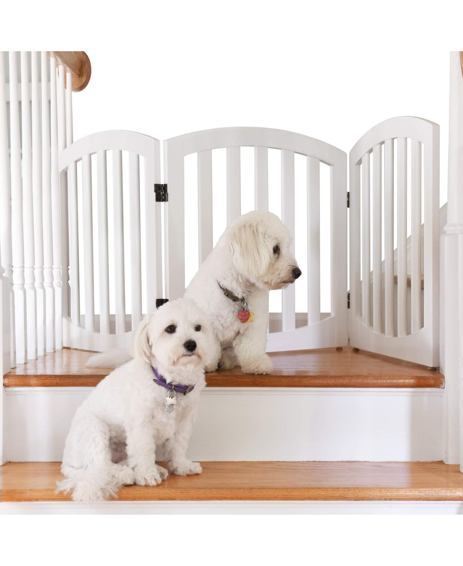 Arf Pets 3-Panel Freestanding Dog Gate, Foldable Pet Gate for Home