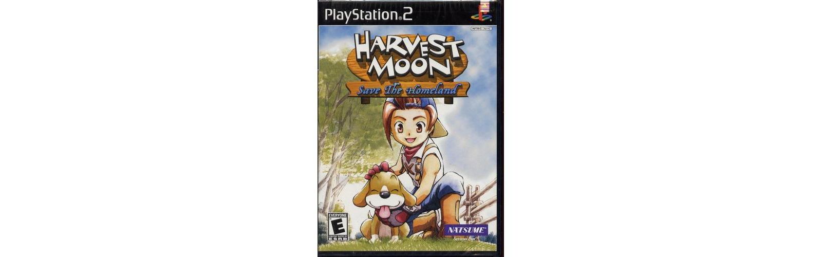 Harvest Moon: Save the Homeland