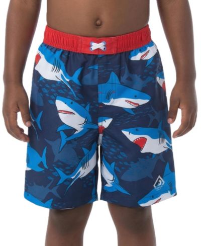 Baby blue shark