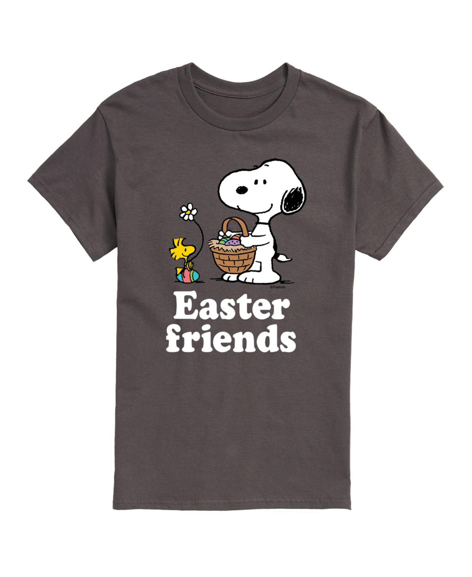 AIRWAVES Men's Peanuts Easter Friends T-shirt