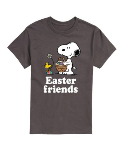 AIRWAVES Men's Peanuts Easter Friends T-shirt