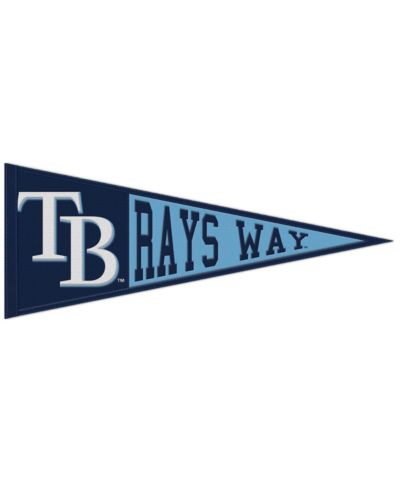 Знамя-флаг Wincraft Tampa Bay Rays 13" x 32" с лозунгом