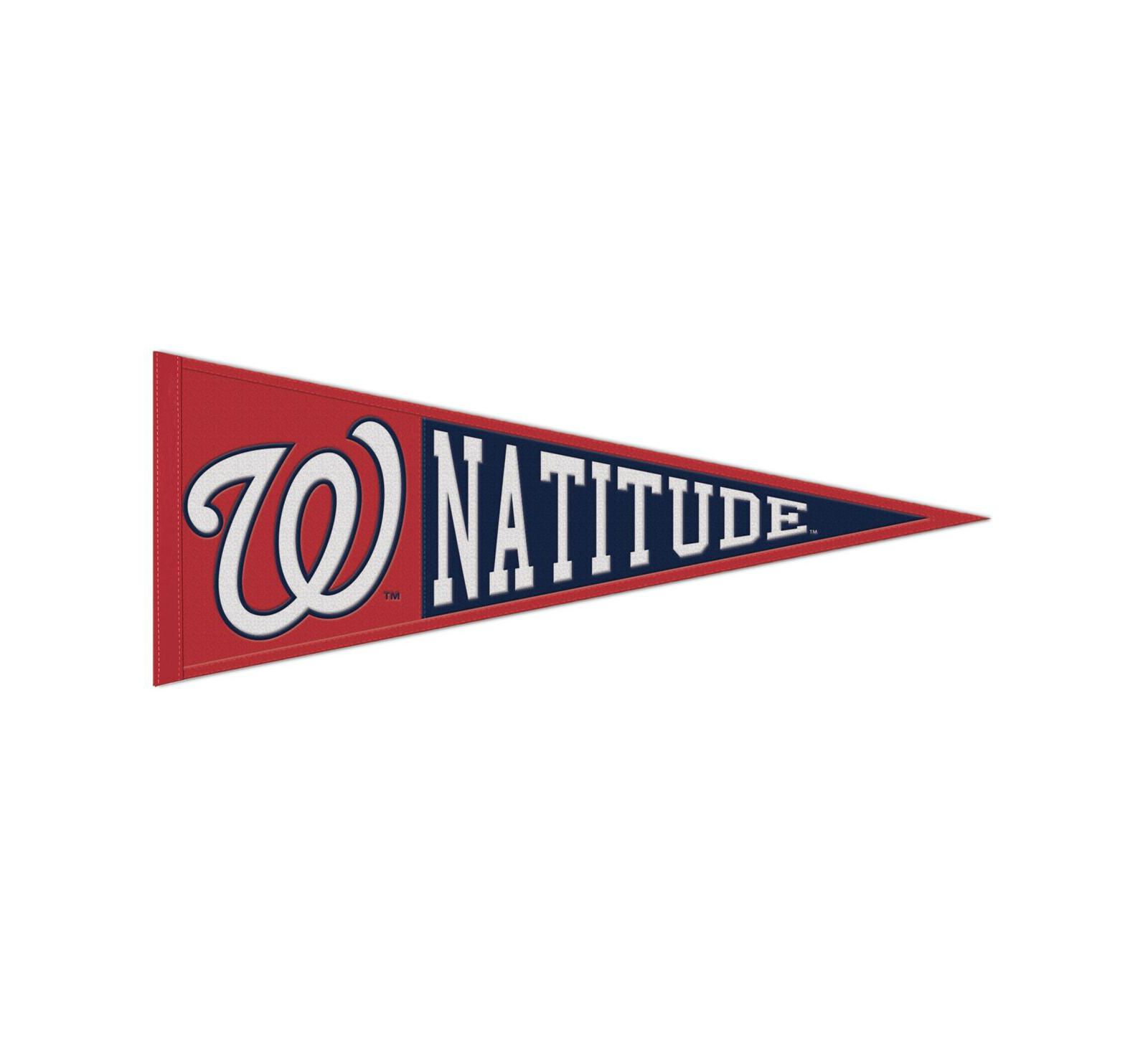 Wincraft Washington Nationals 13" x 32" Slogan Pennant