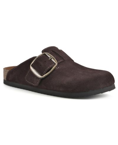 Brown Suede