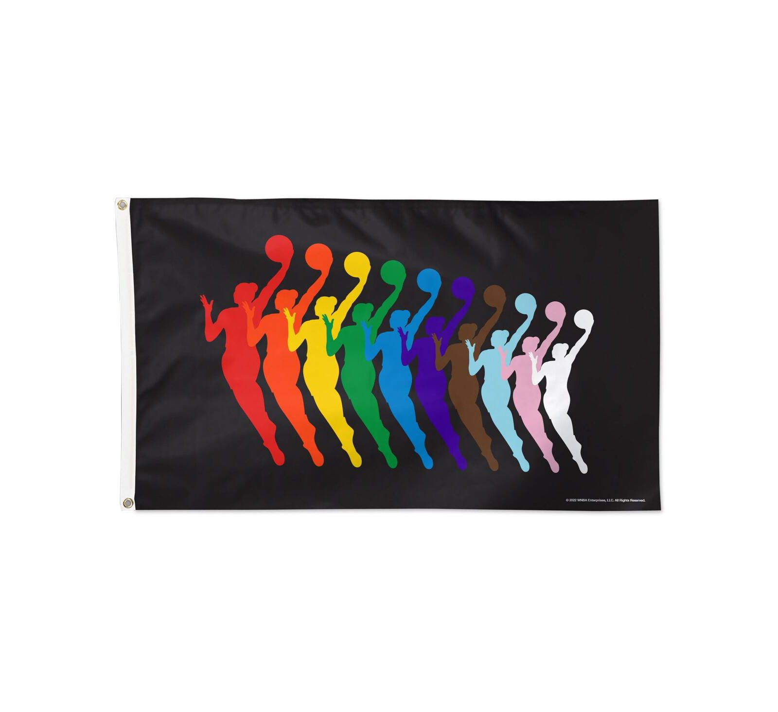 Wincraft WNBA 3' x 5' Pride Single-Sided Flag