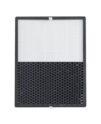 BLACK+DECKER Replacement HEPA + Carbon Filter for BAPUV250, AF4