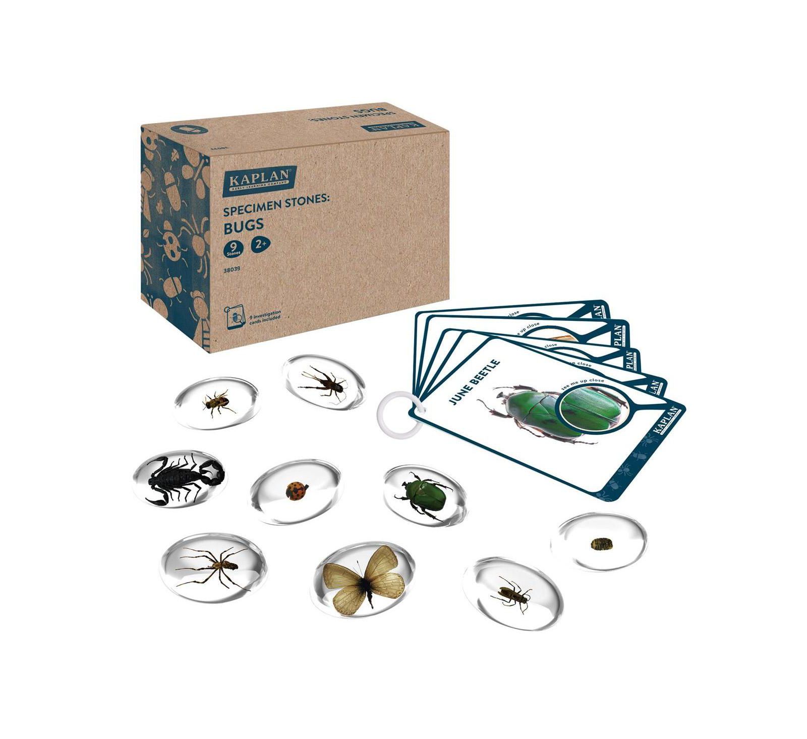 Набор для науки Kaplan Early Learning Specimen Stones: Bugs, 9 шт, возраст 2+