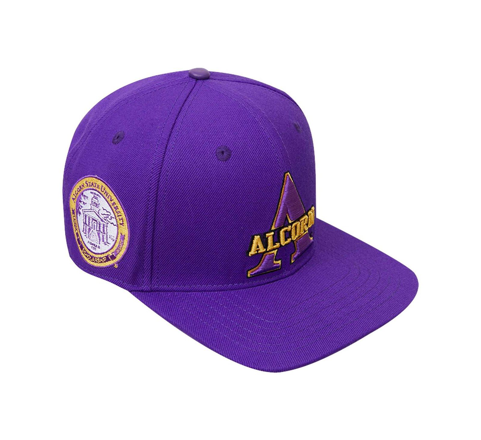 Мужская кепка Pro Standard Purple Alcorn State Braves Evergreen Primary Logo Snapback