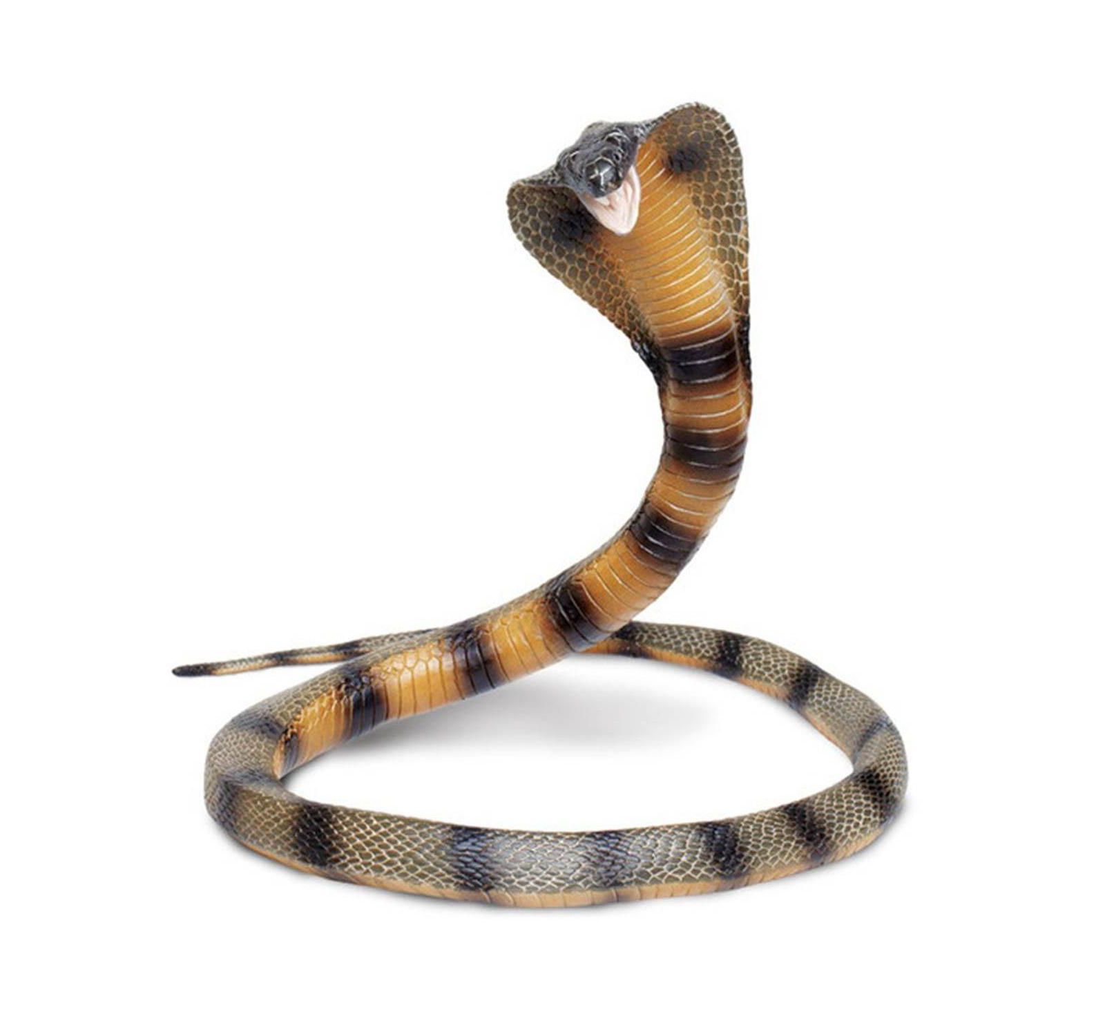 Фигурка Cobra Incredible Creatures Safari Ltd
