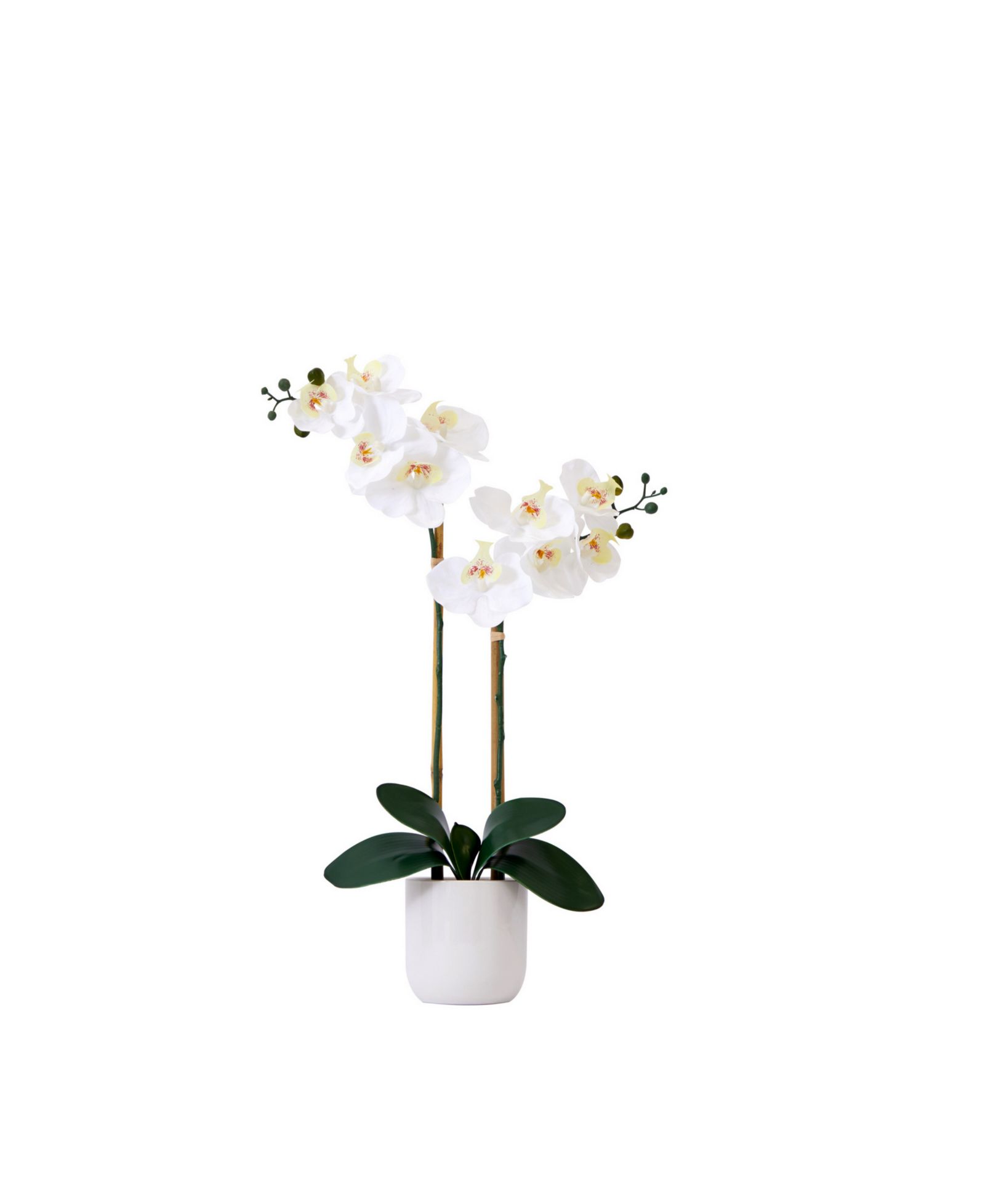 Искусственные орхидеи Nearly Natural 26" Phalaenopsis с декоративной вазой