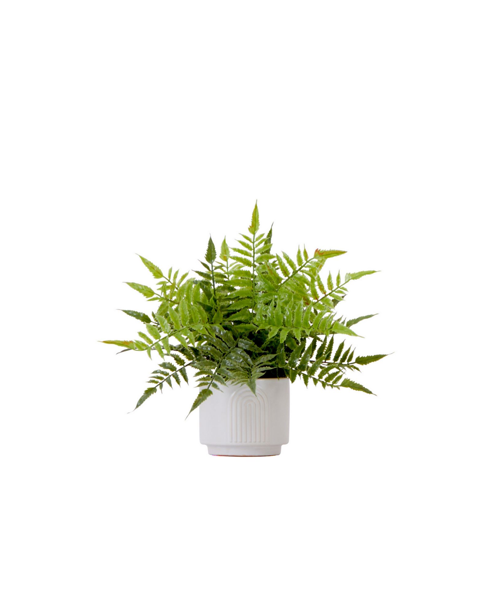 Nearly Natural 13" Artificial Boston Fern Plant with Decorative Planter