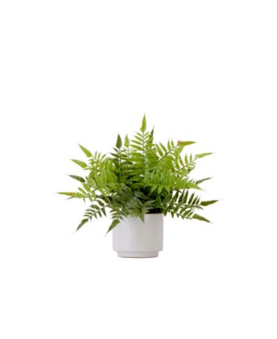 Искусственное растение Nearly Natural Boston Fern в декоративном кашпо, 13"