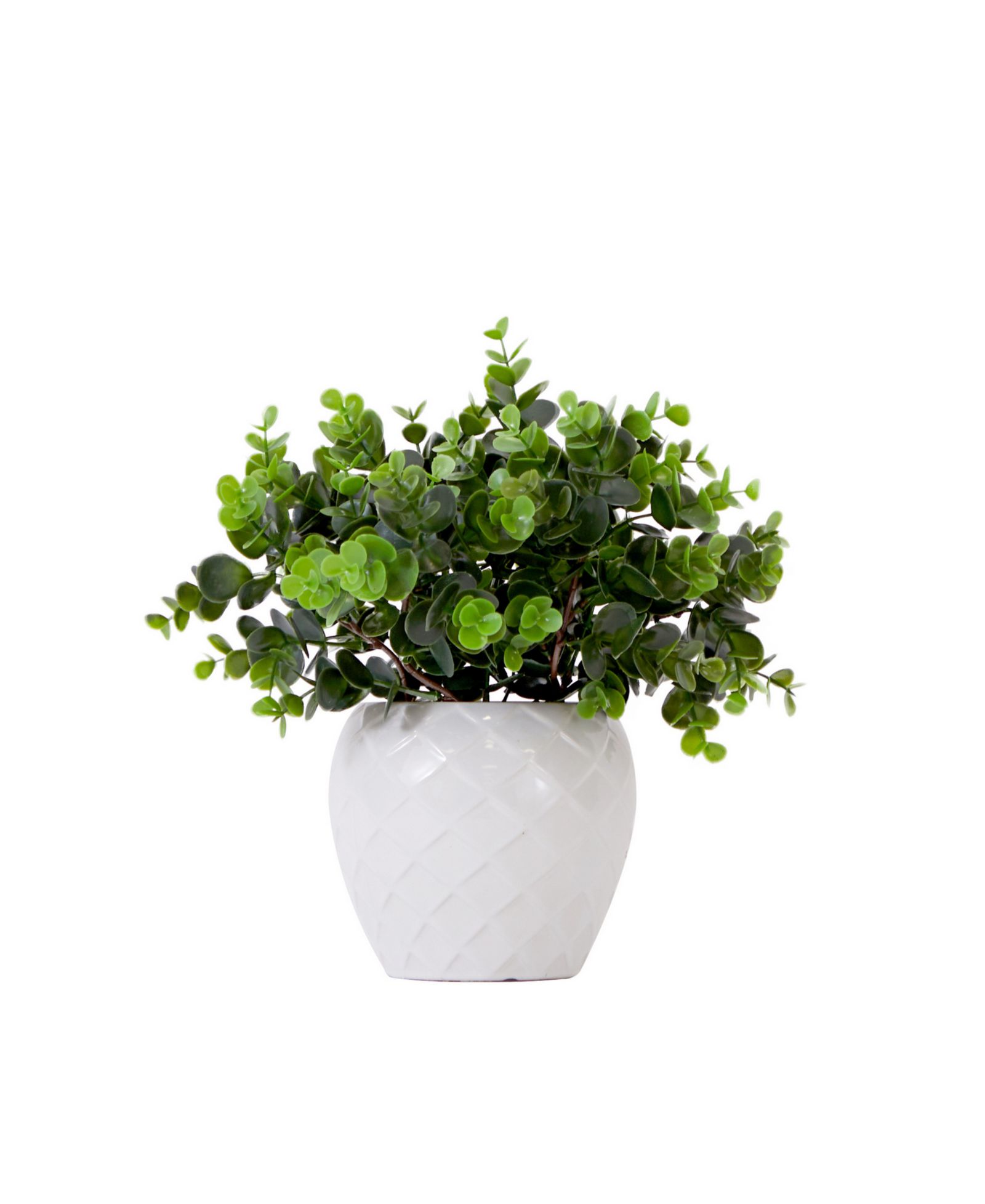 Искусственное растение Nearly Natural 11" Boxwood с Decorative Planter