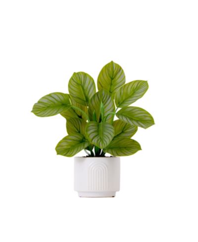 Nearly Natural искусственное растение Calathea 12" с декоративным кашпо