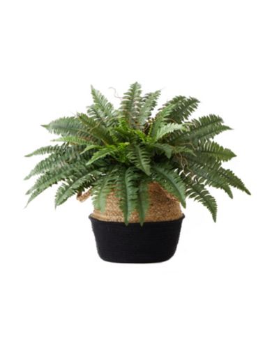 Искусственное растение Nearly Natural 23" Boston Fern с корзиной из джута DIY Kit
