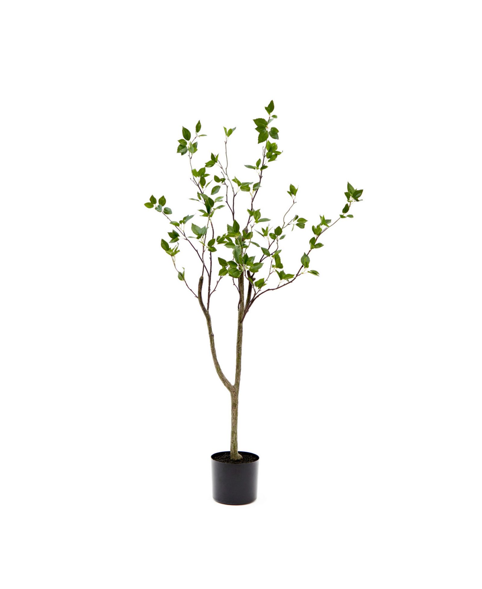 Искусственное дерево Nearly Natural 48" Minimalist Citrus