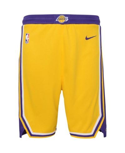 Детские шорты Nike Gold Los Angeles Lakers Icon Edition Mesh Performance Swingman