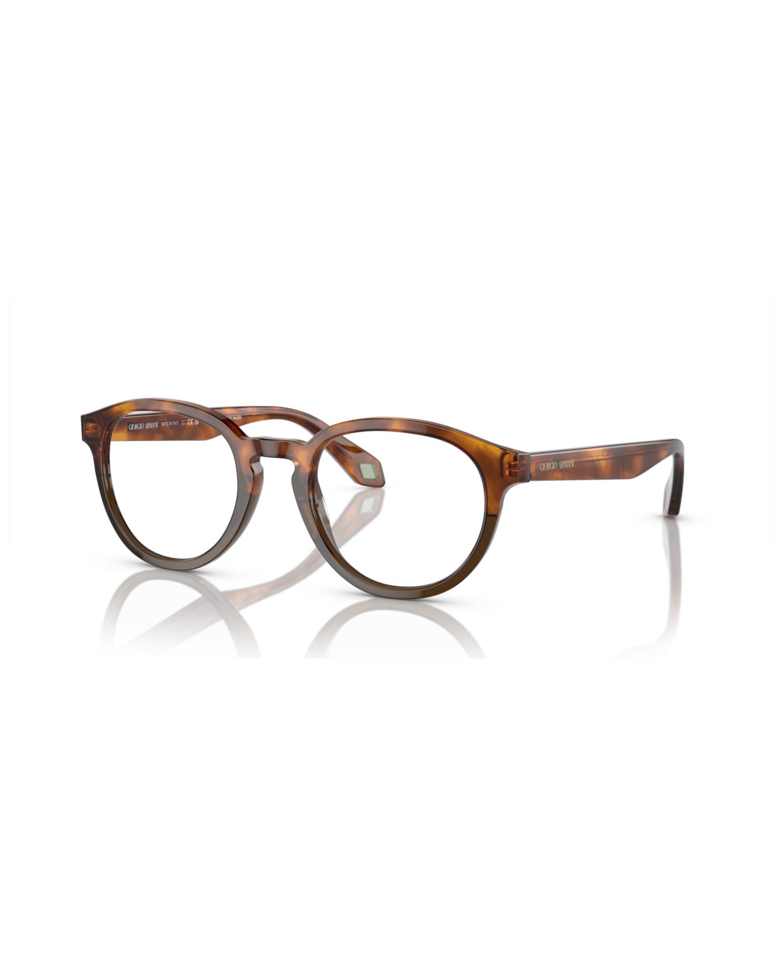 Очки Giorgio Armani Man Panthos Plastic AR7248