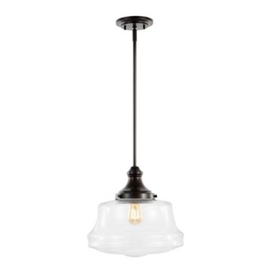 Schoolhouse Bohemian Farmhouse Iron/Glass LED Pendant