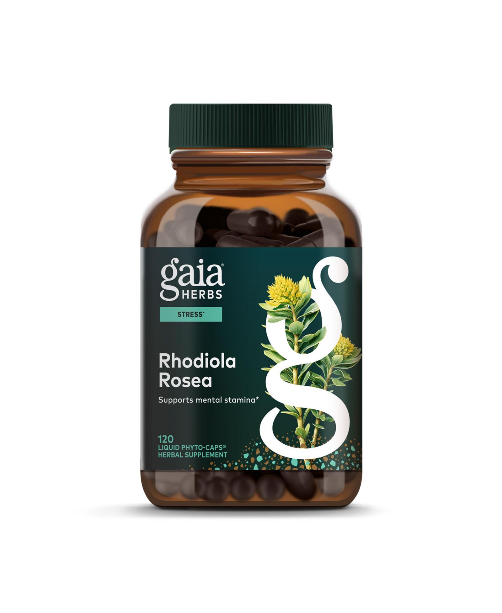 Gaia Herbs Rhodiola Rosea - для поддержания выносливости и энергии - с экстрактом корня сибирского родиолы - 120 жидких фитокапсул (120 порций)