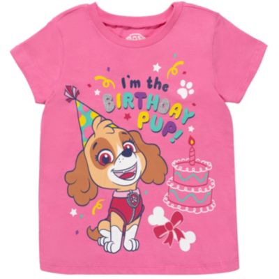 Paw Patrol Toddler Girls Skye Rubble Chase Marshall Birthday T-Shirt