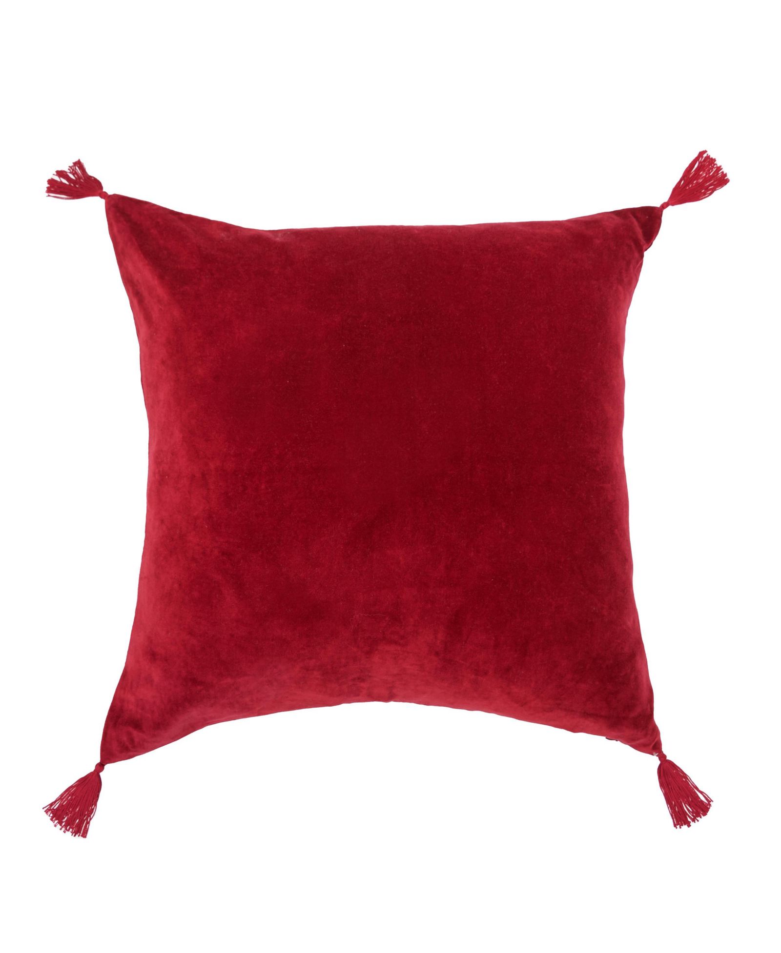 River Ruby Декоративная наволочка с кисточками 22" x 22"