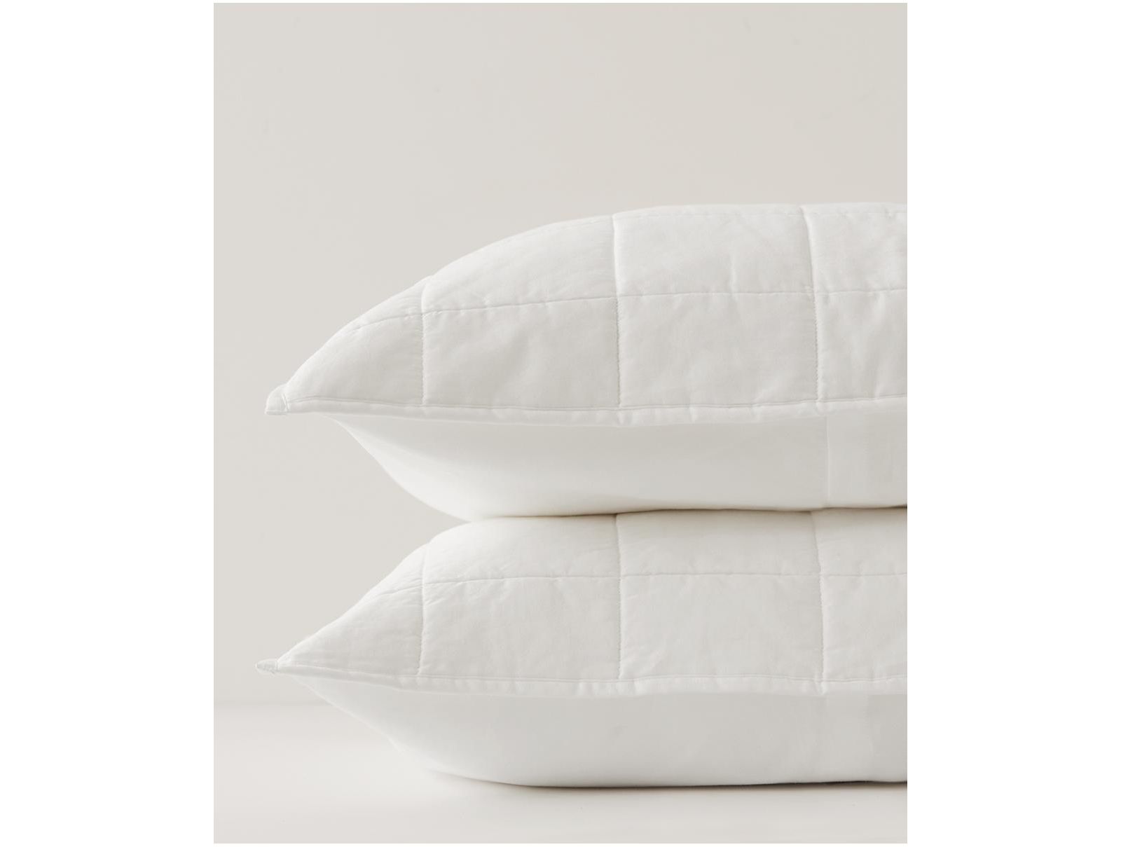 Pact Cotton Quilted Sham 2-Pack - Standard