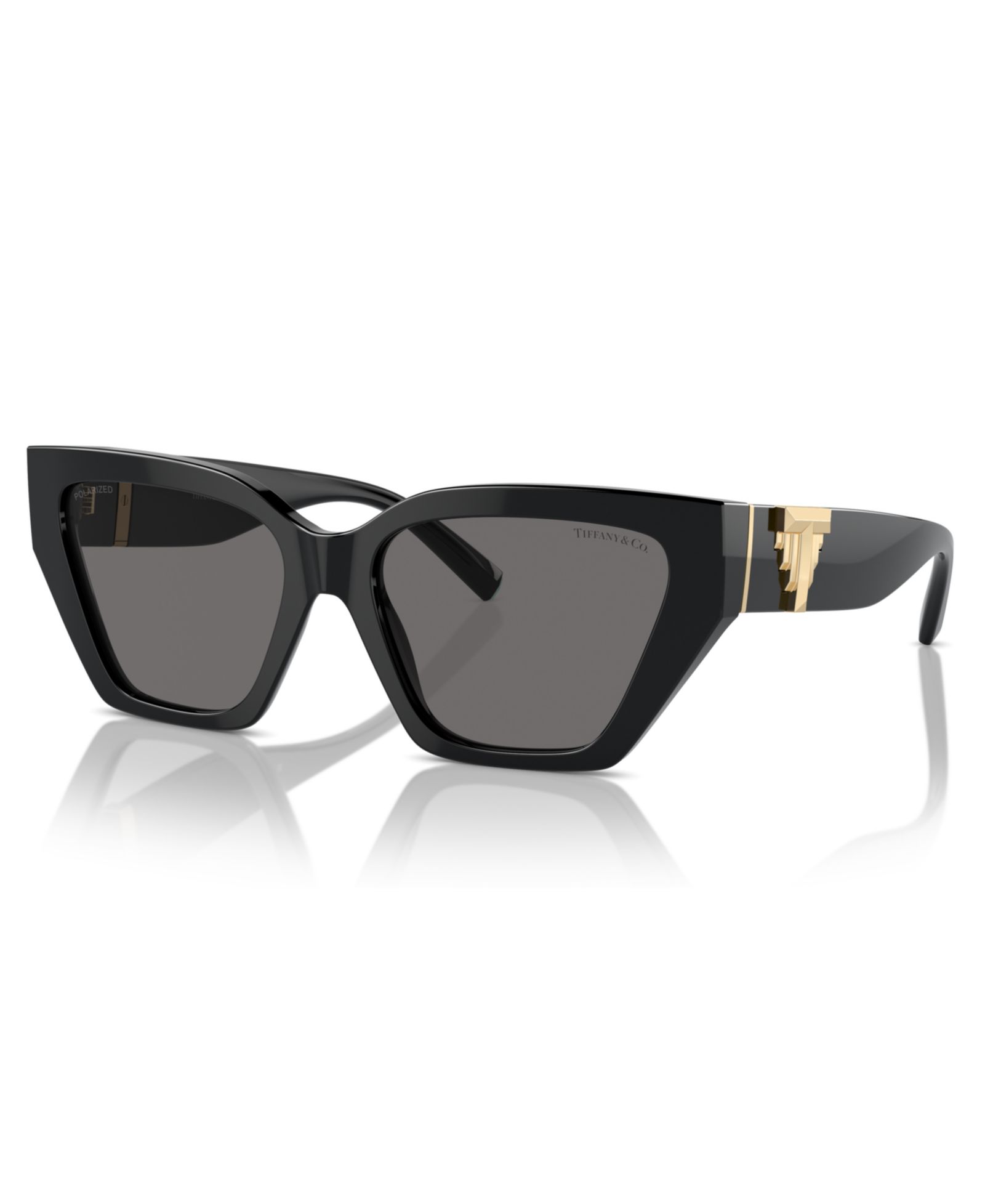 Tiffany & Co. Women's Polarized Sunglasses, Tf4218