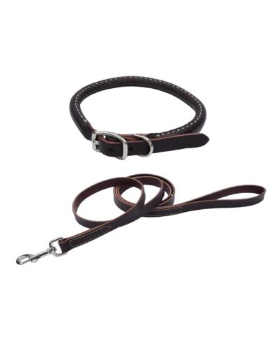 Поводок и ошейник Coastal Pet Circle T из кожи Latigo с латунной фурнитурой