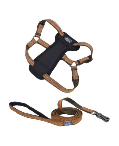 Coastal Pet K9 Explorer by Dog Leash Set - Reflective Adjustable Dog Harness (1" x 26"–38") & Reflective Dog Leash with Scissor Snap 1" x 6') - Campfire Orange