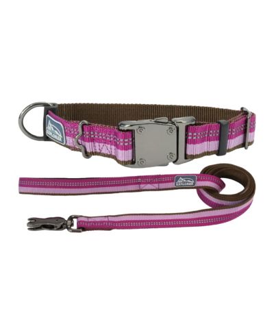 Coastal Pet K9 Explorer by Dog Leash Set - Reflective Adjustable Dog Collar (5/8" x 8"–12") & Reflective Dog Leash with Scissor Snap (5/8" x 6') - Orchid