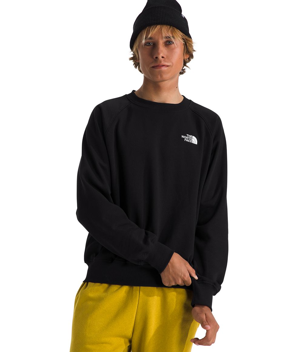 Свитшот The North Face Men's Evolution Crewneck Sweatshirt