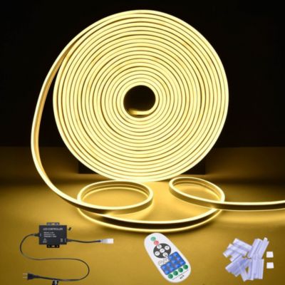 DELight 50FT Remote Control AC 110V IP65 Waterproof Cuttable Dimmable Flexible DIY DEL-D50W Warm White Neon Rope Lights