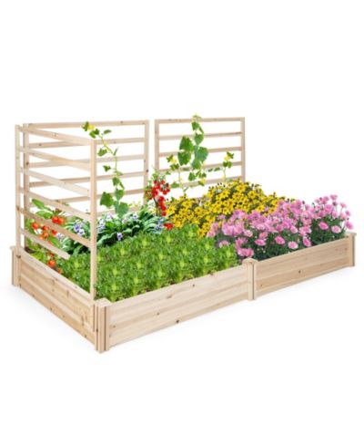 Raised Garden Bed with 3 Trellises with Divided Compartments
