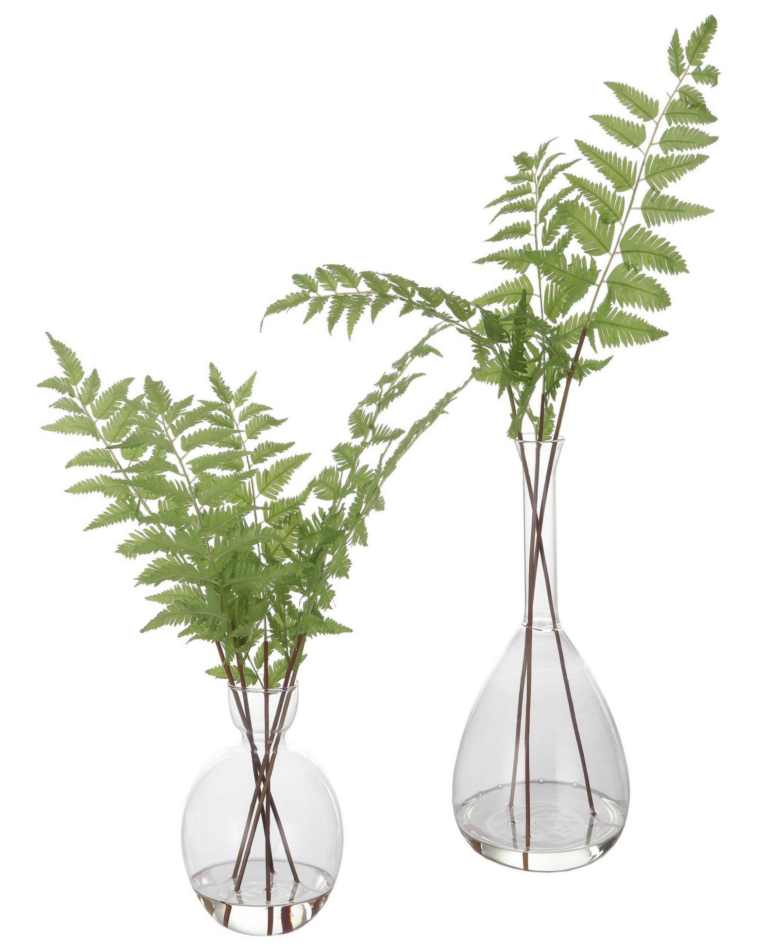 Uttermost Country Ferns, набор из 2 шт.