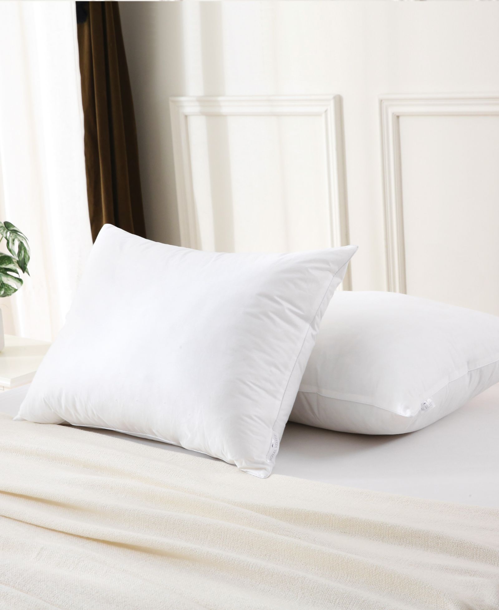 Royal Velvet Twin Pack White Goose Down and Feather Blend 2-Pack Pillow, King