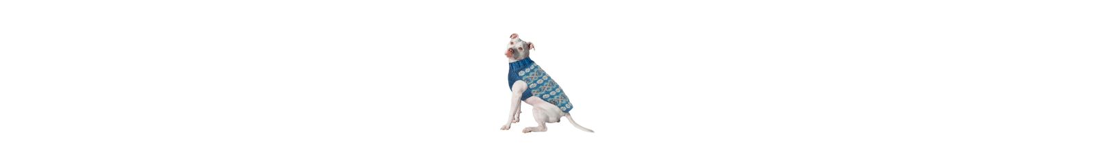 Свитер для собак Chilly Dog M Teal Alpaca Fairisle