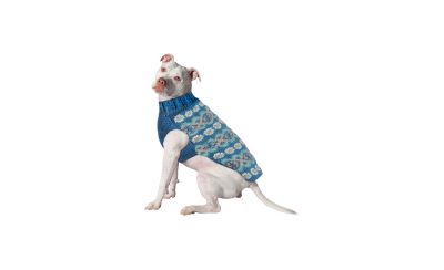 Свитер для собак Chilly Dog M Teal Alpaca Fairisle