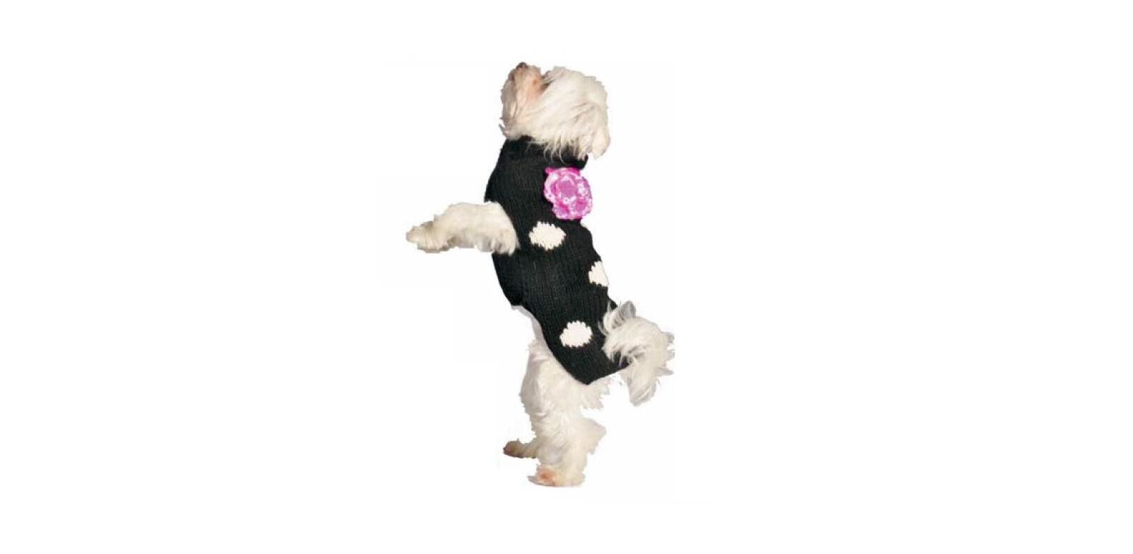 Chilly Dog M Polka Dot Flower Dog Sweater