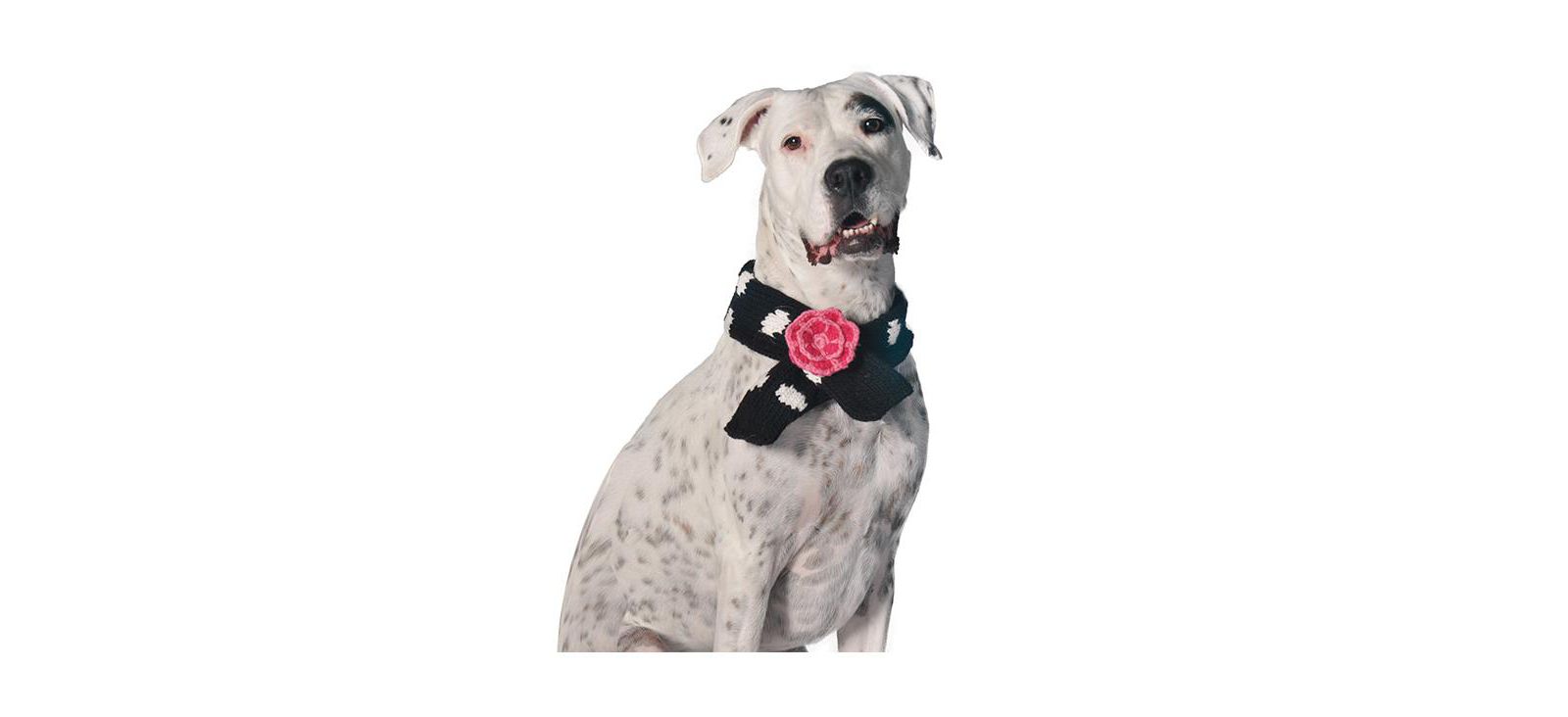 Шарф Chilly Dog Black Polka Dot Flower Large