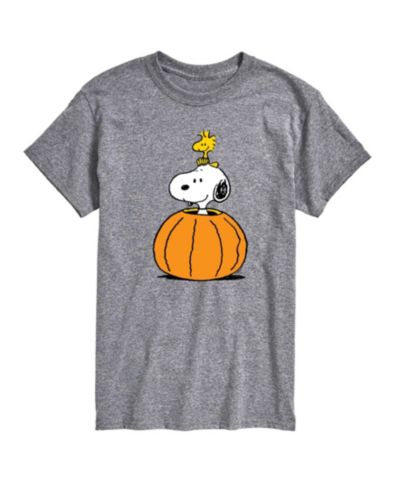 Мужская футболка Hybrid Apparel Peanuts Pumpkin Short Sleeve Tee