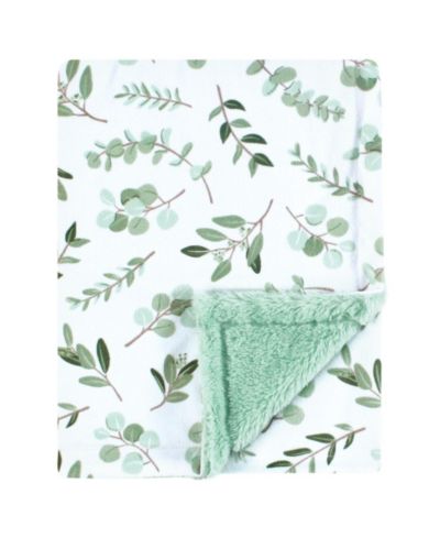 Eucalyptus