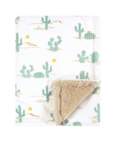 Desert cactus