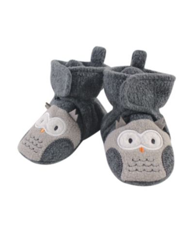 Gray owl