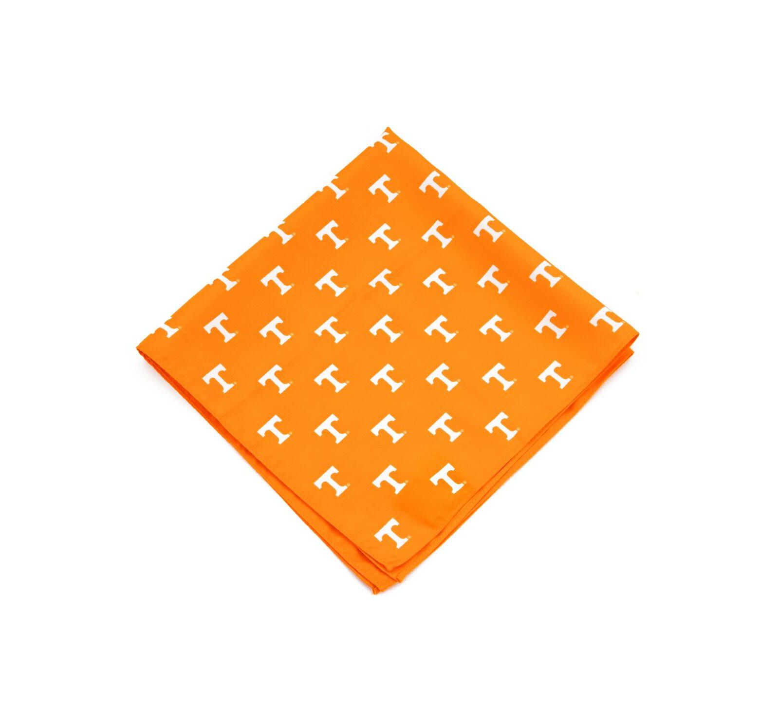 Eagles Wings Tennessee Volunteers нагрудный платок-паше