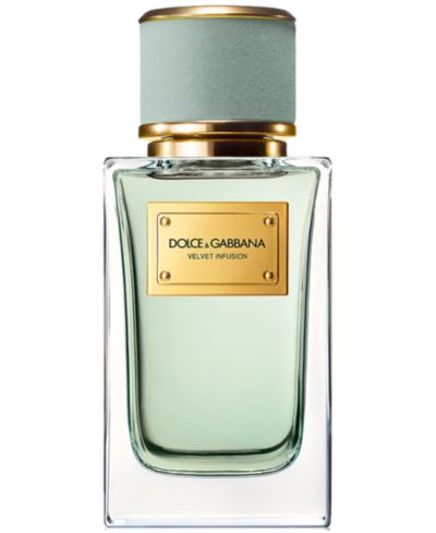 DOLCE&GABBANA парфюмерная вода Velvet Infusion, 3.3 oz.
